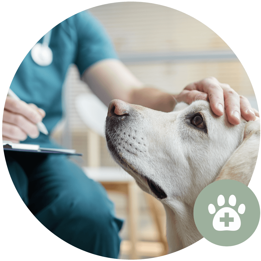 Veterinary Early Detection