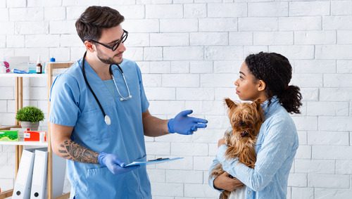 male-vet-talking-to-female-dog-owner-holding-her-dog-at-clinic