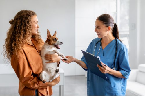 dog held by its female owner during vet consultation with female vet tech