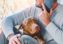 male owner talking on the phone with vet wondering why is my dog shaking and acting weird all of a sudden