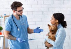 male-vet-talking-to-female-dog-owner-holding-her-dog-at-clinic