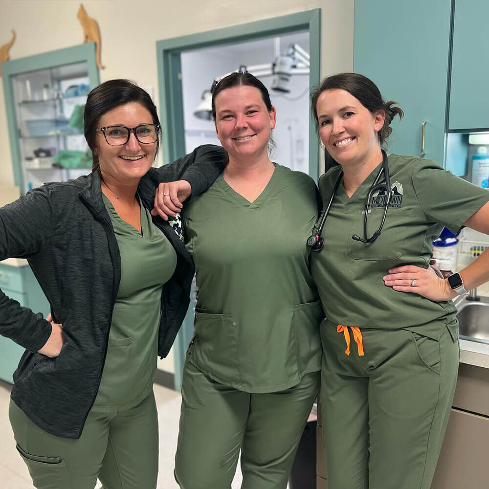 Three Doctors Techs In Green Scrubs